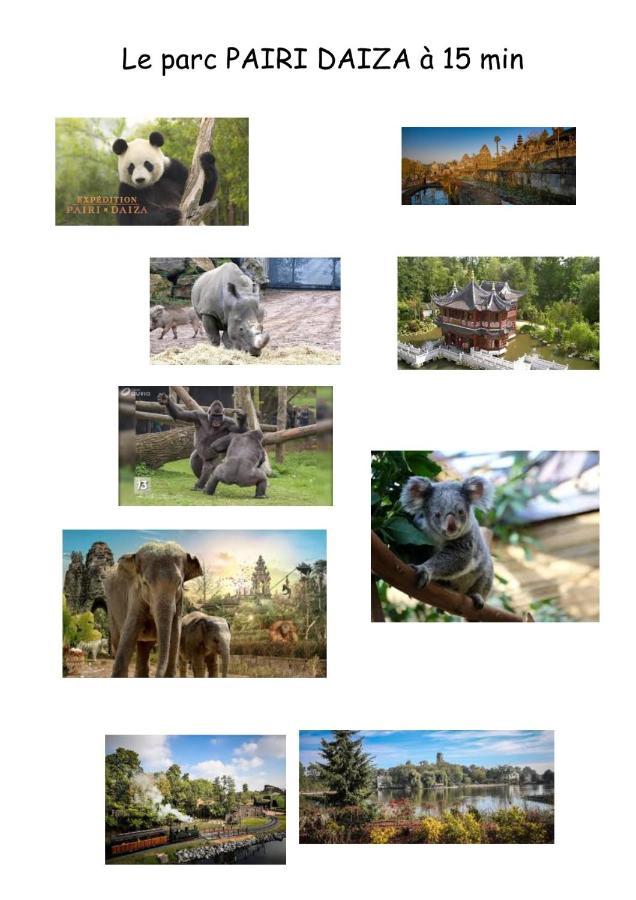 Chambres d'hôte L Écureuil proche de Mons, Pairi Daiza, à côté de SPARK'Oh Frameries Exterior foto